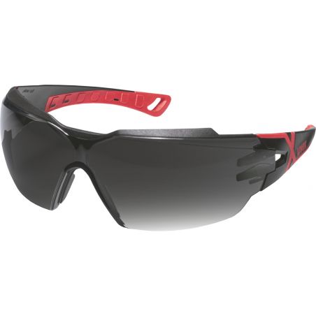 Okulary ochronne PHEOS CX2 UV400 IR-ex anti-fog BHP