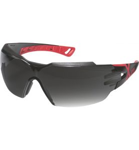 Okulary ochronne PHEOS CX2 UV400 IR-ex anti-fog BHP