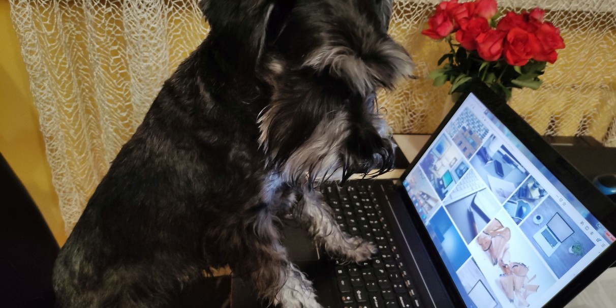 JAK STOSOWAĆ SIĘ DO PRZEPISÓW BHP W CZASIE HOME OFFICE