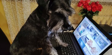 JAK STOSOWAĆ SIĘ DO PRZEPISÓW BHP W CZASIE HOME OFFICE